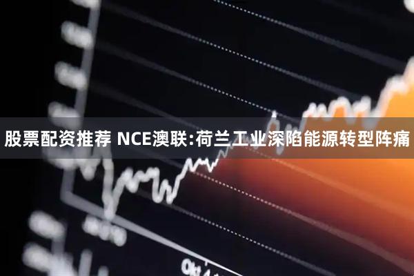 股票配资推荐 NCE澳联:荷兰工业深陷能源转型阵痛